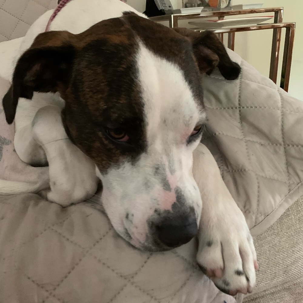 Meet your Posher, Claudine